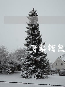 飞象钱包逾期了还20000 飞象钱包逾期了还20000
