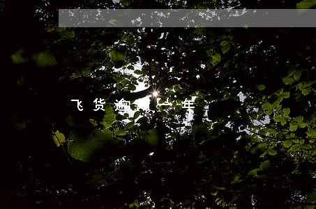 飞货逾期一年