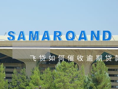 飞贷如何催收逾期贷款 飞贷如何催收逾期贷款