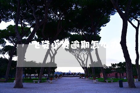 飞贷小贷逾期怎么办 飞贷小贷逾期怎么办