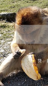 飞贷扣款不成功逾期