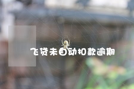飞贷未自动扣款逾期 飞贷未自动扣款逾期