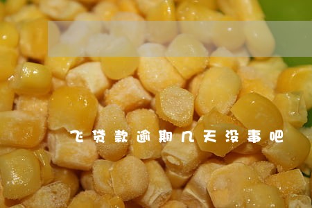 飞贷款逾期几天没事吧