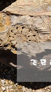 飞贷逾期2天会怎样 飞贷逾期2天会怎样