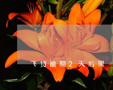 飞贷逾期2天后果 飞贷逾期2天后果
