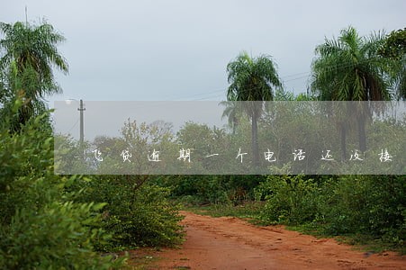 飞贷逾期一个电话还没接到 飞贷逾期一个电话还没接到