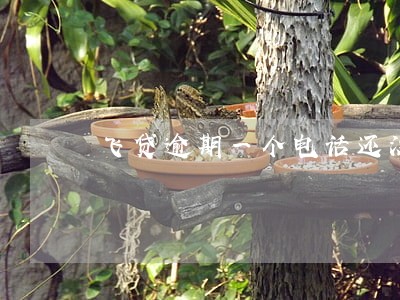 飞贷逾期一个电话还没接到怎么办 飞贷逾期一个电话还没接到怎么办