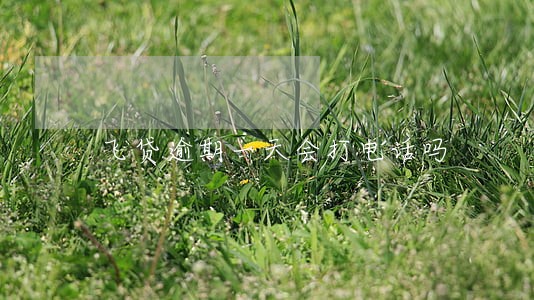 飞贷逾期一天会打电话吗 飞贷逾期一天会打电话吗
