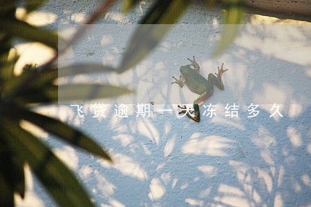 飞贷逾期一天冻结多久 飞贷逾期一天冻结多久