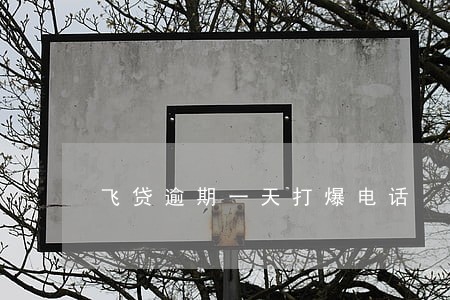 飞贷逾期一天打爆电话 飞贷逾期一天打爆电话
