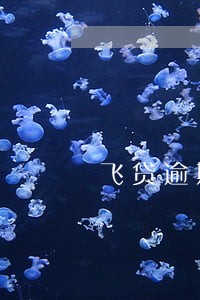 飞贷逾期一天爆通讯录吗 飞贷逾期一天爆通讯录吗