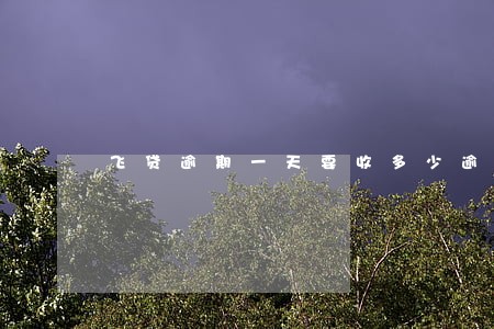 飞贷逾期一天要收多少逾期费 飞贷逾期一天要收多少逾期费