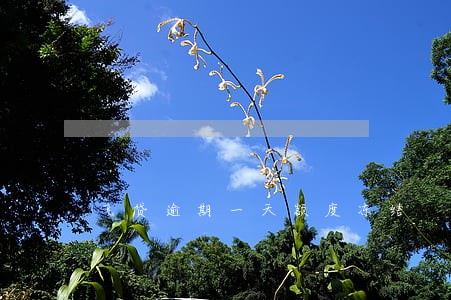 飞贷逾期一天额度冻结