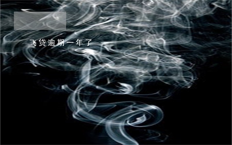 飞贷逾期一年了 飞贷逾期一年了