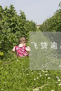 飞贷逾期一年会怎么样 飞贷逾期一年会怎么样