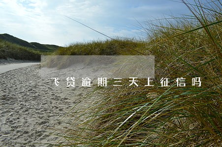 飞贷逾期三天上征信吗 飞贷逾期三天上征信吗