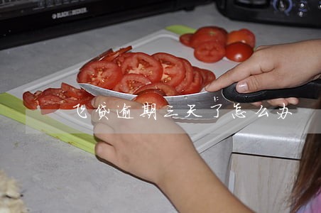 飞贷逾期三天了怎么办