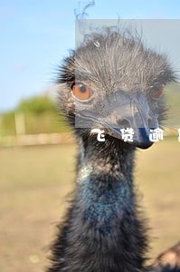 飞贷逾期了收到债权转让 飞贷逾期了收到债权转让