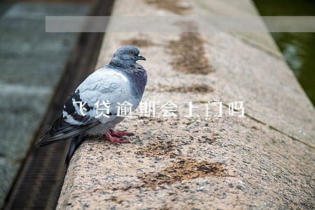 飞贷逾期会上门吗 飞贷逾期会上门吗