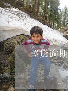 飞贷逾期后果严重吗 飞贷逾期后果严重吗