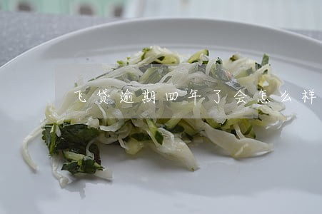 飞贷逾期四年了会怎么样 飞贷逾期四年了会怎么样