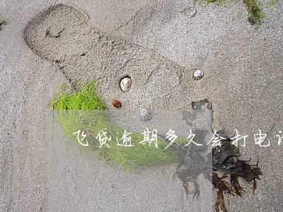 飞贷逾期多久会打电话