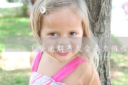飞贷逾期多久会暴力催收 飞贷逾期多久会暴力催收