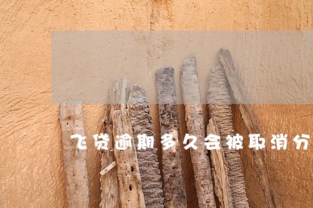 飞贷逾期多久会被取消分期资格
