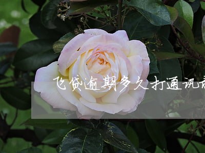 飞贷逾期多久打通讯录 飞贷逾期多久打通讯录