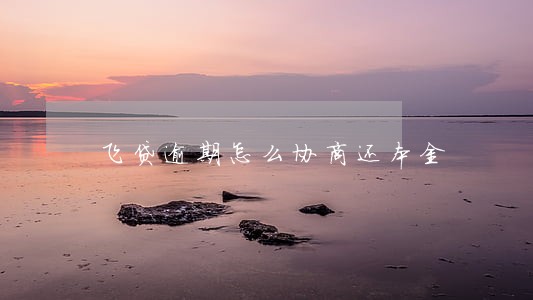 飞贷逾期怎么协商还本金 飞贷逾期怎么协商还本金