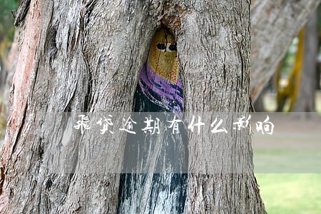 飞贷逾期有什么影响 飞贷逾期有什么影响