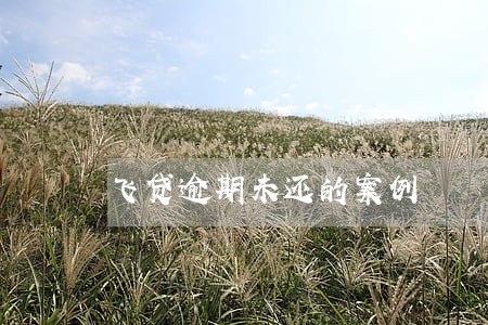 飞贷逾期未还的案例 飞贷逾期未还的案例