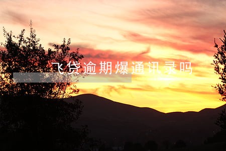 飞贷逾期爆通讯录吗 飞贷逾期爆通讯录吗