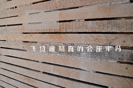 飞贷逾期真的会座牢吗 飞贷逾期真的会座牢吗