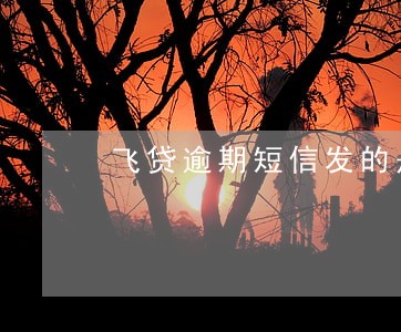 飞贷逾期短信发的是妍信小贷 飞贷逾期短信发的是妍信小贷