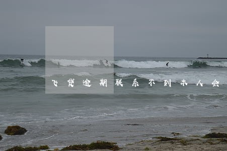 飞贷逾期联系不到本人会怎么样 飞贷逾期联系不到本人会怎么样
