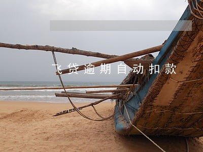 飞贷逾期自动扣款 飞贷逾期自动扣款