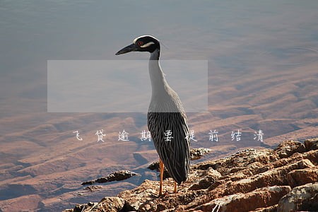 飞贷逾期要提前结清 飞贷逾期要提前结清