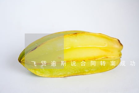 飞贷逾期说合同转案成功什么意思 飞贷逾期说合同转案成功什么意思