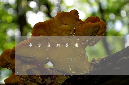 飞贷逾期费用 飞贷逾期费用