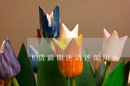 飞贷逾期还清还能用么 飞贷逾期还清还能用么
