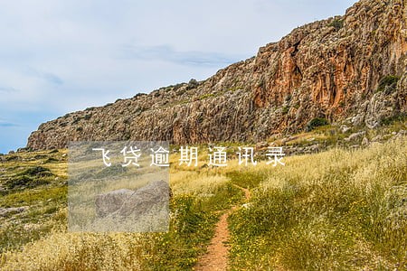 飞贷逾期通讯录 飞贷逾期通讯录