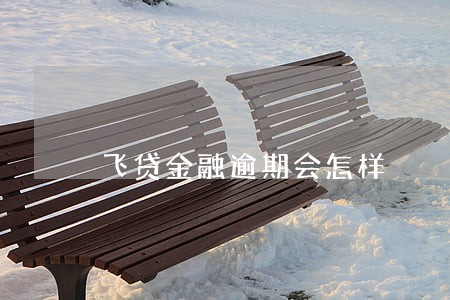 飞贷金融逾期会怎样 飞贷金融逾期会怎样