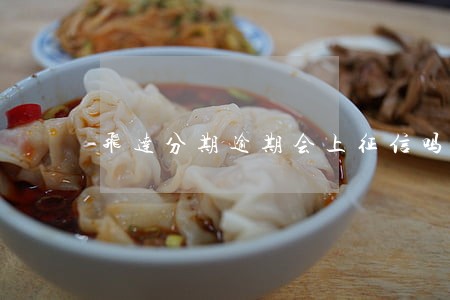 飞达分期逾期会上征信吗 飞达分期逾期会上征信吗