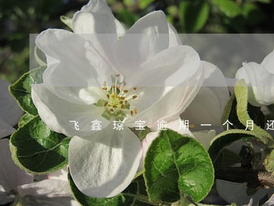 飞鑫琼宝逾期一个月还能借吗 飞鑫琼宝逾期一个月还能借吗