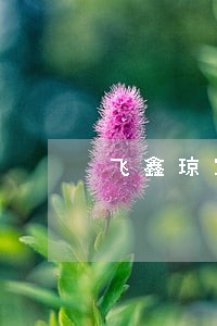 飞鑫琼宝逾期几天打电话 飞鑫琼宝逾期几天打电话