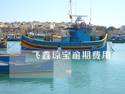 飞鑫琼宝逾期费用 飞鑫琼宝逾期费用