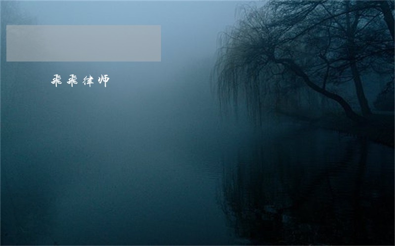 飞飞律师 飞飞律师