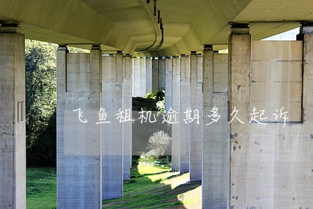飞鱼租机逾期多久起诉 飞鱼租机逾期多久起诉