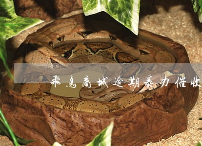 飞鸟商城逾期暴力催收 飞鸟商城逾期暴力催收